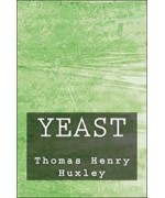 Yeast