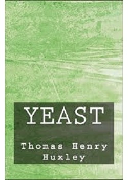 Yeast