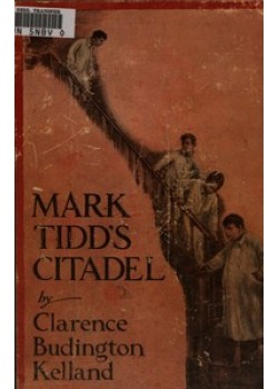 Mark Tidd's Citadel