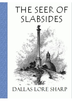 The Seer of Slabsides