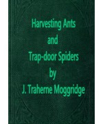 Harvesting Ants and Trap-Door Spiders