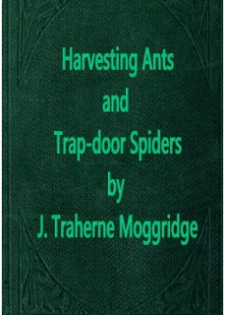 Harvesting Ants and Trap-Door Spiders