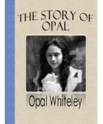 The Story of Opal