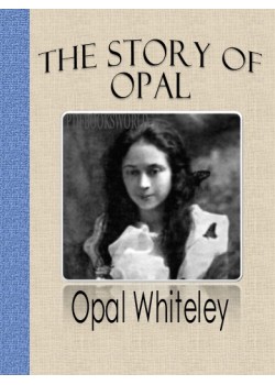 The Story of Opal