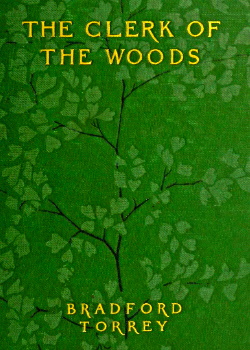 The Clerk of the Woods