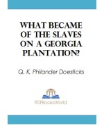 What Became of the Slaves on a Georgia Plantation?