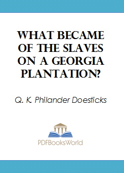 What Became of the Slaves on a Georgia Plantation?