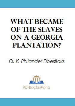 What Became of the Slaves on a Georgia Plantation?