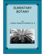 Elementary Botany