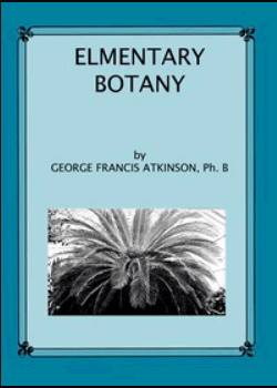 Elementary Botany