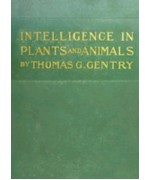 Intelligence in Plants and Animals