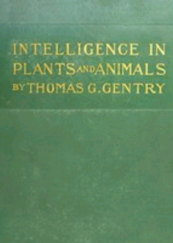 Intelligence in Plants and Animals