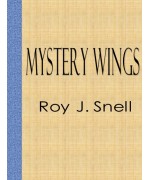 Mystery Wings