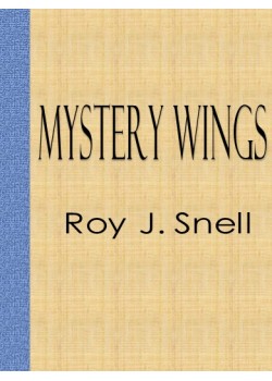 Mystery Wings