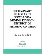 Preliminary Report on Gowganda Mining Division District of Nipissing Ontario