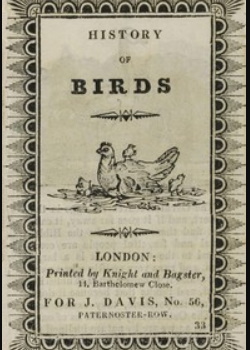 History of Birds