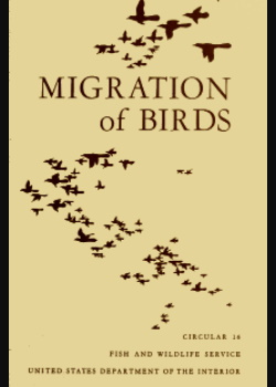 Migration of Birds (1950)