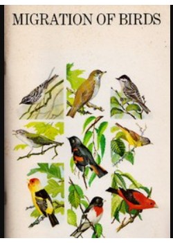 Migration of Birds (1979)