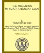 The Migration of North American Birds (1935)