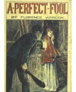 A Perfect Fool -  A Novel