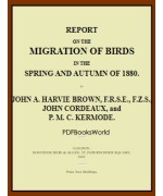 Report on the Migration of Birds in the Spring and Autumn of 1880