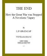 The End -  How the Great War Was Stopped. A Novelistic Vagary