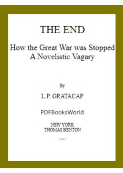 The End -  How the Great War Was Stopped. A Novelistic Vagary