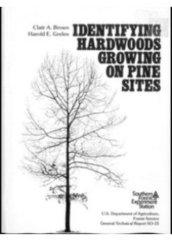 Identifying Hardwoods Growing on Pine Sites