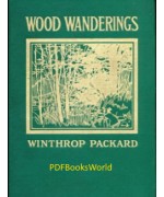 Wood Wanderings