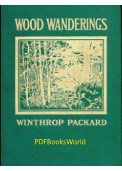 Wood Wanderings