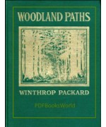 Woodland Paths