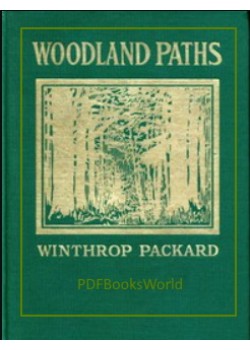 Woodland Paths