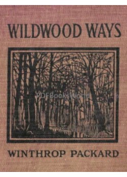 Wildwood Ways