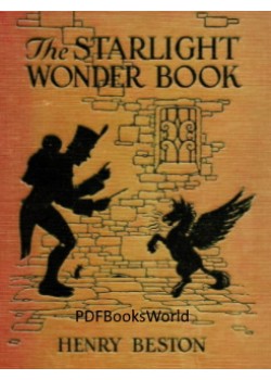 The Starlight Wonder Book
