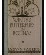 Winter Butterflies in Bolinas