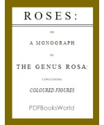 Roses -  or, a Monograph of the Genus Rosa by active 1799-1828