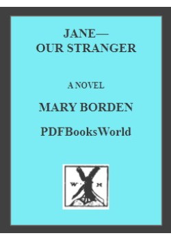 Jane--Our Stranger -  A Novel