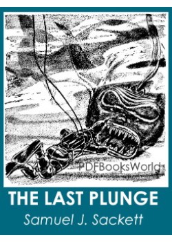 The Last Plunge