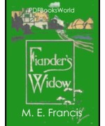 Fiander's Widow -  A Novel