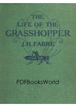 The Life of the Grasshopper