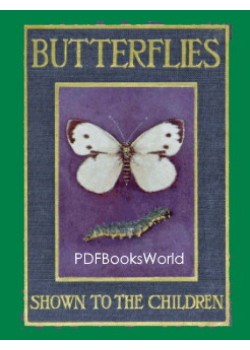 Butterflies and Moths, Shown to the Children