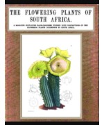 The Flowering Plants of South Africa (Vol. 3)