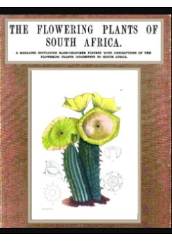The Flowering Plants of South Africa (Vol. 3)