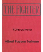 The Fighter