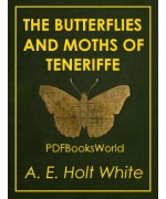 The Butterflies and Moths of Teneriffe