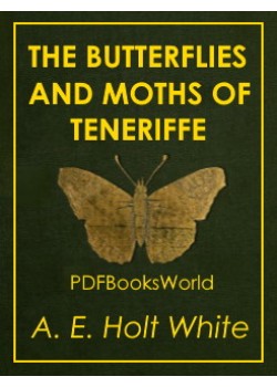 The Butterflies and Moths of Teneriffe