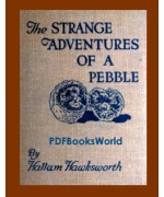 The Strange Adventures of a Pebble