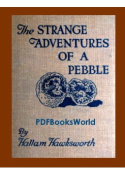 The Strange Adventures of a Pebble