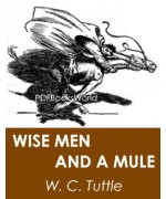 Wise Men and a Mule