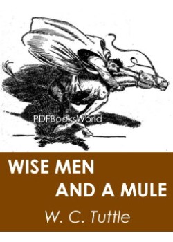 Wise Men and a Mule